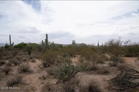 Lush Land Parcel in Tucson