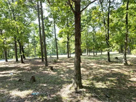 Clinton, AR Acreage Opportunity