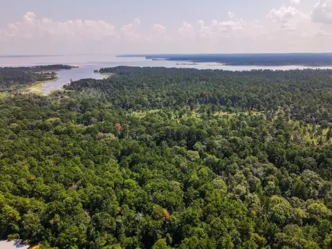 Lake Sam Rayburn Acreage Opportunity