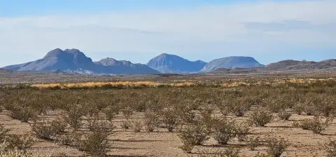 Terlingua Land with Mountain Views
