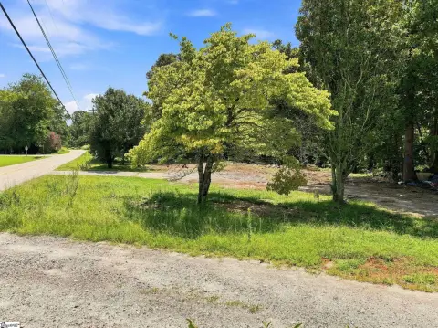 Agricultural Land with Road Frontage