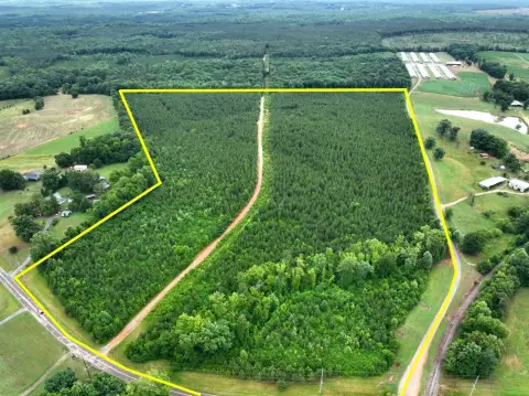 Replanted Timber Farmland Tract