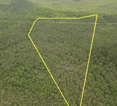 Hunting Land Parcel with Power Line Easement