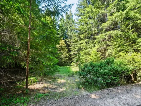 Forested Acreage in Philo, CA
