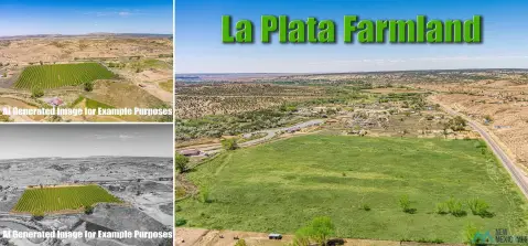 28 Acres Irrigated Land Farmington