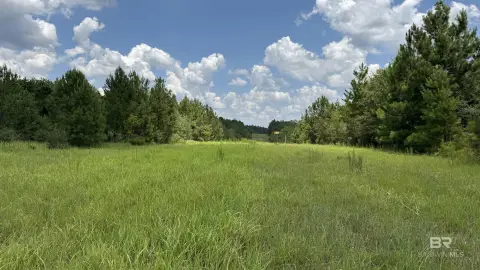 Hunting and Recreation Land with Creek