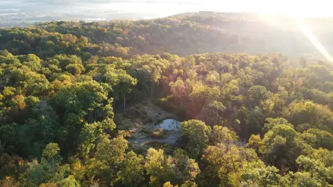 Wooded Hunting Land with Wildlife Pond
