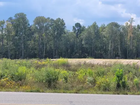 Cleared Land on Highway 69