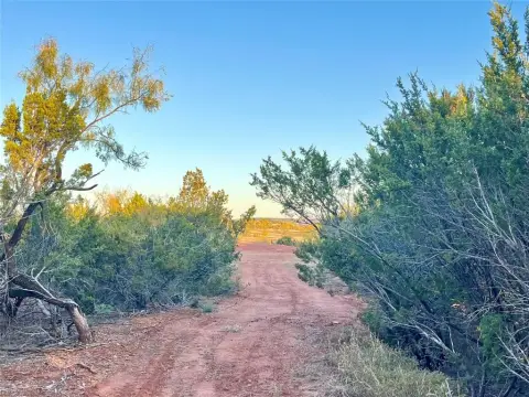 Land Near Buffalo Gap