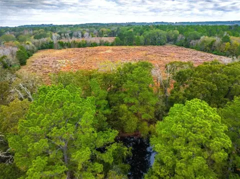 Elkhart, TX Land For Sale