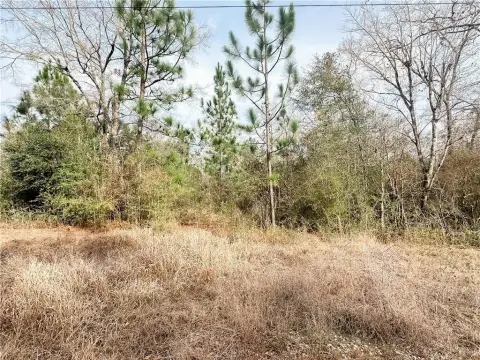 Residential Lot in Chunchula, AL