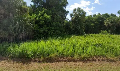 Residential Lot in North Port
