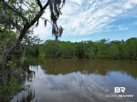 Escambia River Waterfront Land