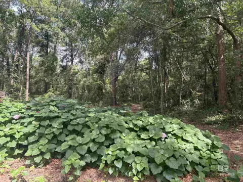 Expansive 59-Acre Development Opportunity