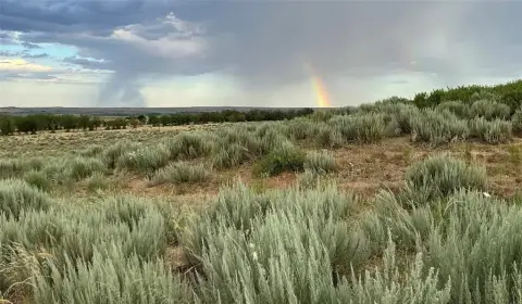 162 Acres of Unimproved Land