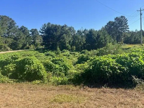 Commercial Corner Lot