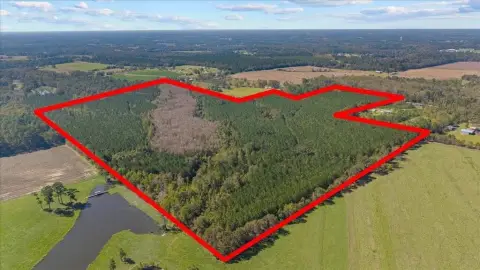 Wooded Recreational Land