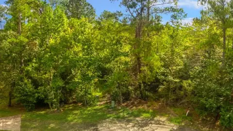 Secluded Lot in Rayburn Resort