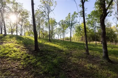 Agricultural Land with Creek