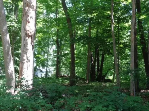 Residential Land in Established Neighborhood