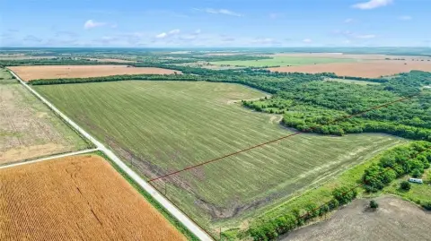 20 Acres of Open Land