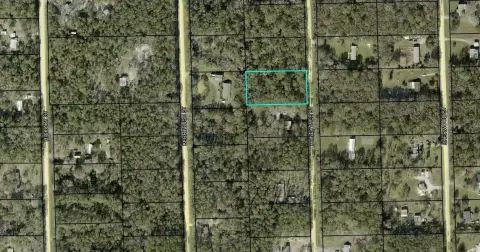 Undeveloped Land in Bunnell, FL
