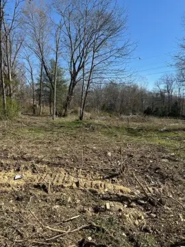 15+ Acre Wooded Tract