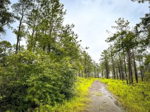 Jasper, TX Unimproved Land
