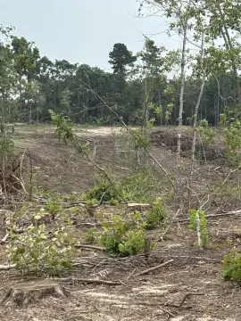 Saratoga Land Investment Opportunity