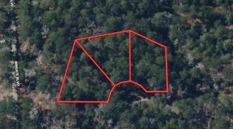 Rayburn Country Land Opportunity