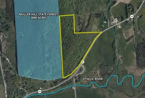 32 Acres Adjoining State Forest