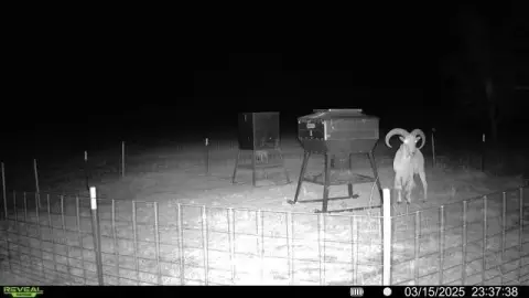 Hunting Ranch with Home, Shop