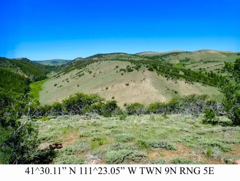 Mountain Hunting Land