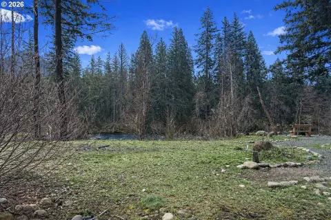 McKenzie River Frontage Land