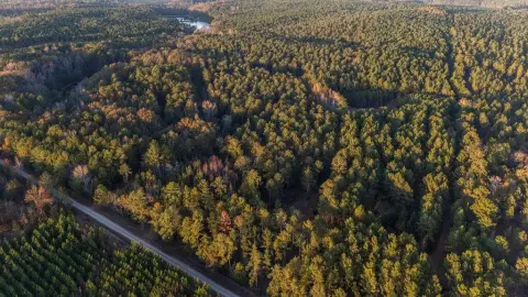 64+ Acres Hunting/Homestead Land