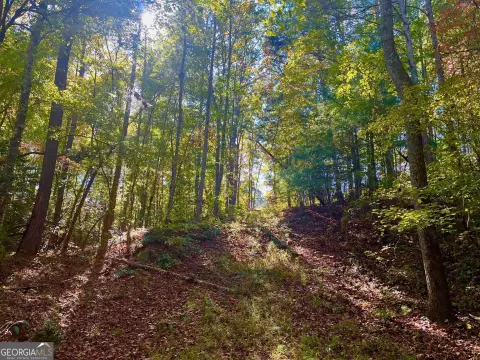 Ellijay, GA 4.13 Acre Lot