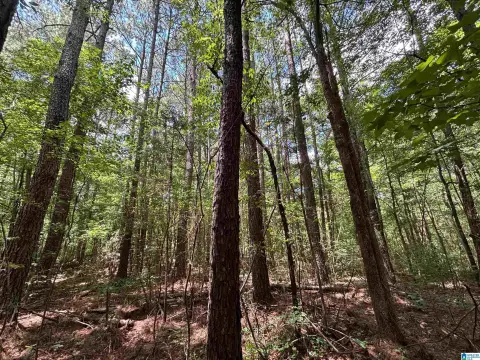 90 Acres Recreational Land, Oneonta