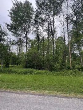 Wooded Hunting Land