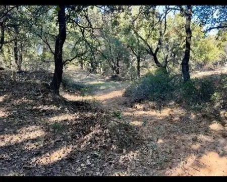 Oak-Covered Hunting Land
