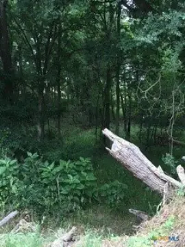 Unrestricted Land in Seguin, Texas