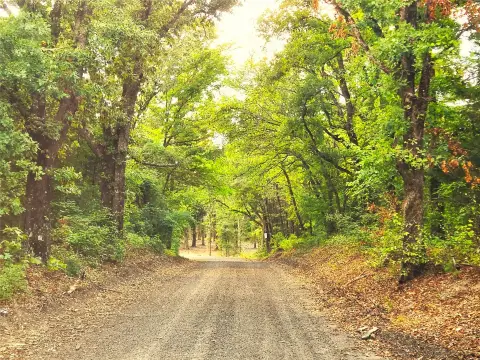 Wooded Recreational Land Home Site