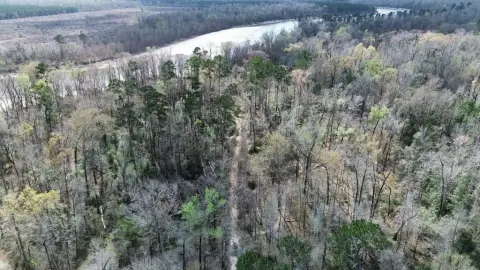 Wooded Acreage Near Sabine River
