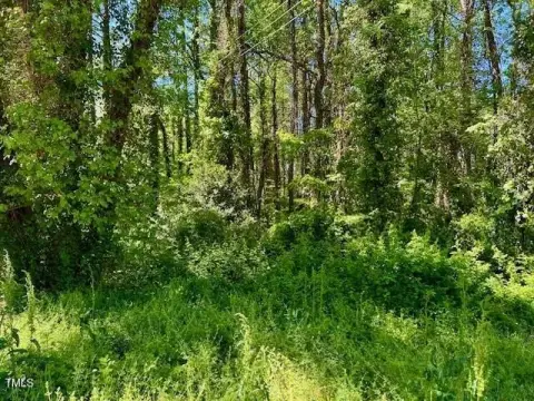 Residential Land in Henderson, NC