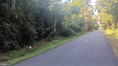 Wooded Hunting Land