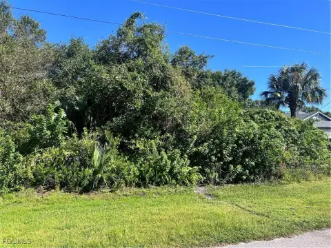 Residential Land in Fort Myers