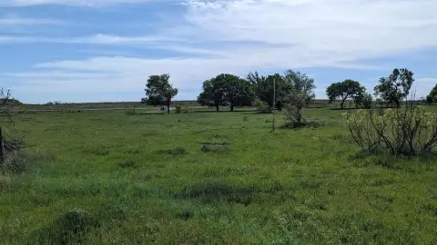 10 Acres of Texas Land