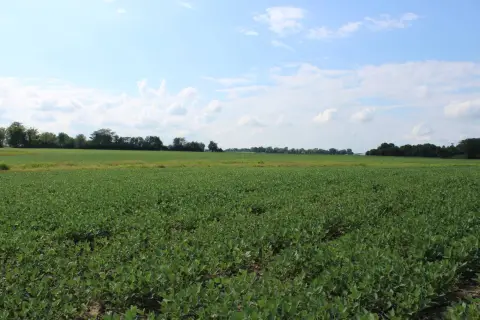 Recreational Hunting and Tillable Land