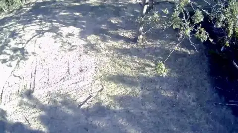 Huntsville Land Near City Amenities