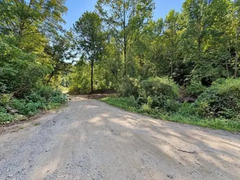 Hunting Land with Road Access