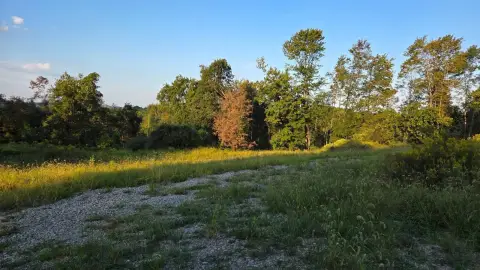 Wooded Agricultural Land